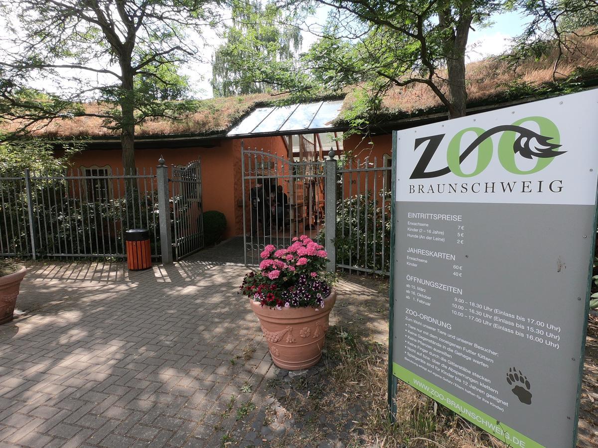 브라운슈바이크 Bs Living Ap Am Zoo 아파트 외부 사진